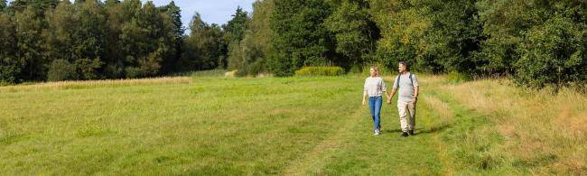 Landstreifer Gernebachtal ehemaligen Ahsener Fischteiche 
