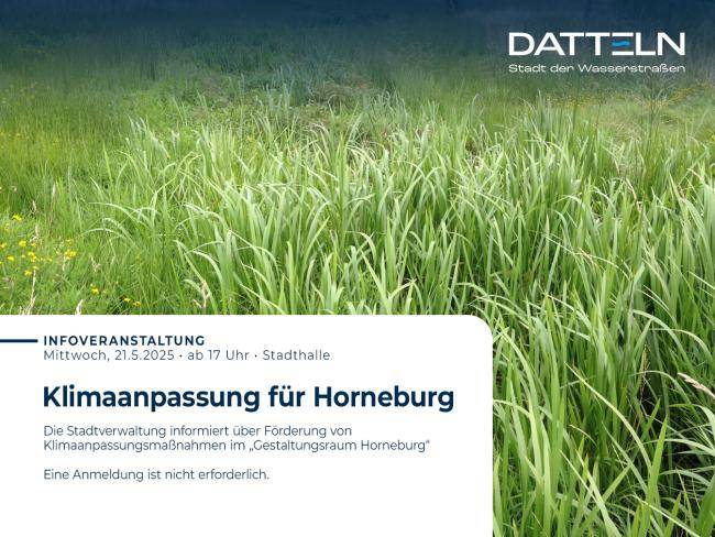 Hinweistext zur Infoveranstaltung mit einer Wiese im Hintergrund