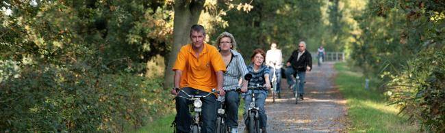 Mehrere Menschen fahren im Wald Fahrrad