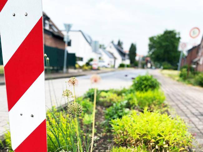 Straßenbeet im Hötting