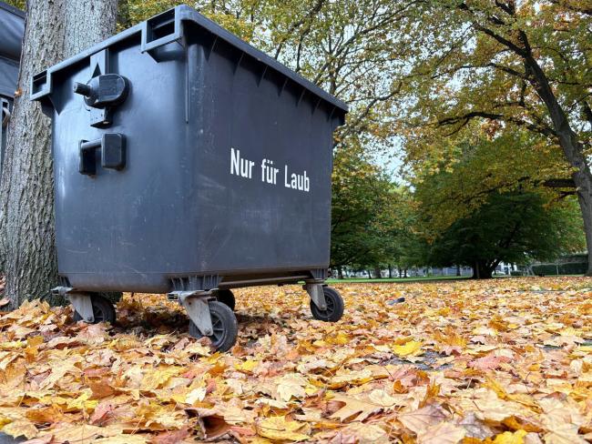 Laubcontainer am Rathaus