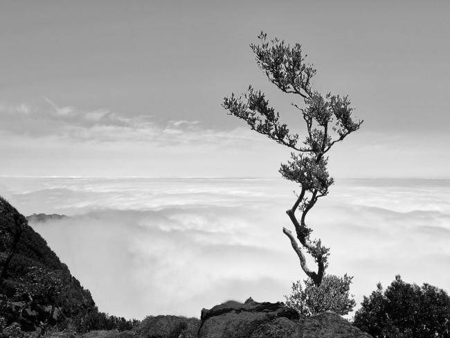 3. Platz der Bildbesprechungen Februar 2026 