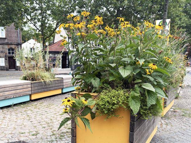 Blumenkübel und Sitzgelegenheiten der Stadt-Terrasse auf dem Tigg