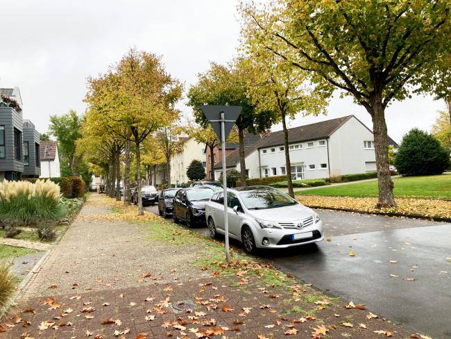 Die Hachhausener Straße im Herbst