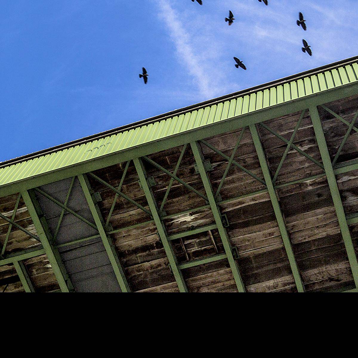 Slider Bild